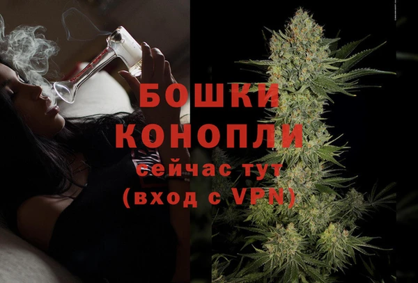 ПСИЛОЦИБИНОВЫЕ ГРИБЫ Заволжск