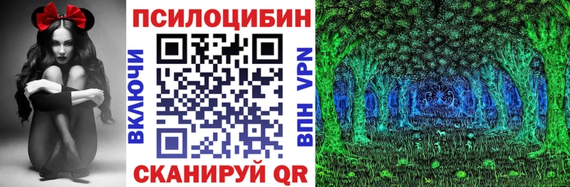 купить   Мичуринск  Галлюциногенные грибы GOLDEN TEACHER 